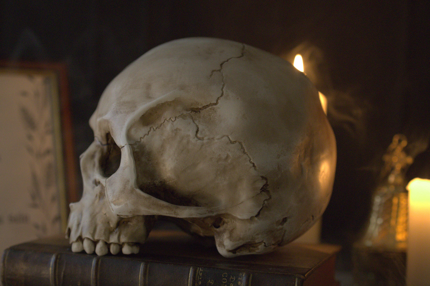 Lebensgroßer Totenkopf aus Kunstharz (handbemalt)