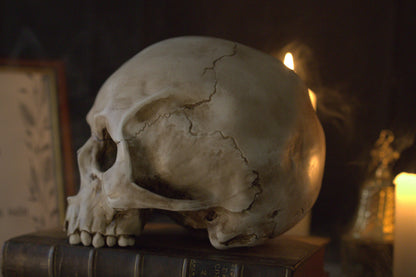 Lebensgroßer Totenkopf aus Kunstharz (handbemalt)