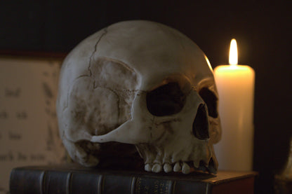 Lebensgroßer Totenkopf aus Kunstharz (handbemalt)