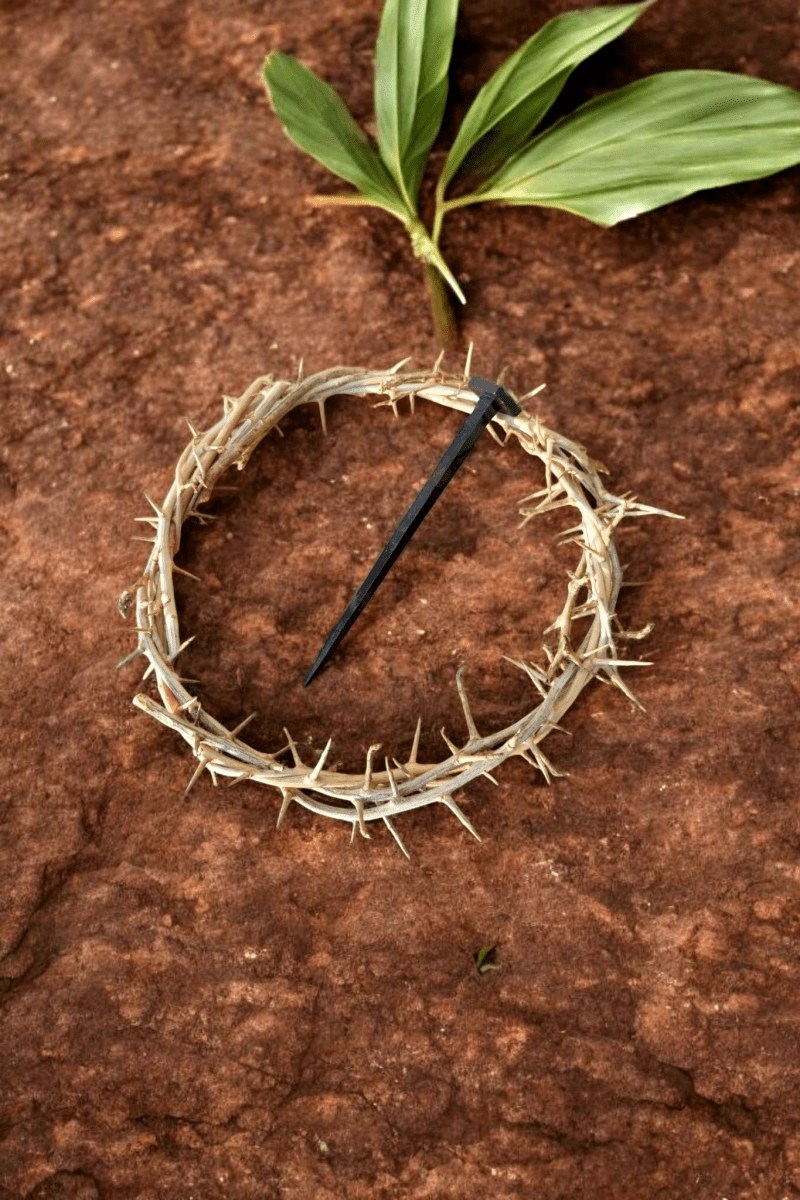 Dornenkrone mit authentischem Nagel - MarcellusOnlineShop