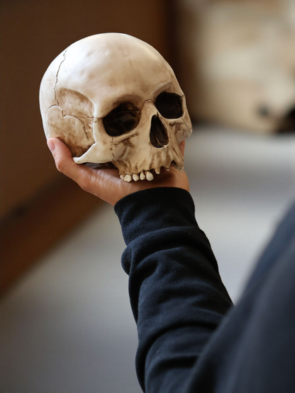 Lebensgroßer Totenkopf aus Kunstharz (handbemalt)